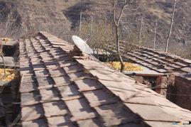 原生态娱乐,回归自然，畅享生活之美