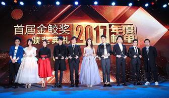 安安 娱乐年度盛典,璀璨星光，荣耀绽放